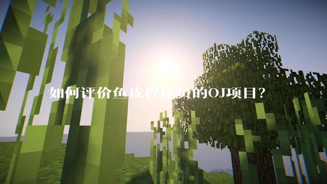 如何评价鱼皮程序员的OJ项目？